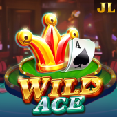 Wild Ace m333win